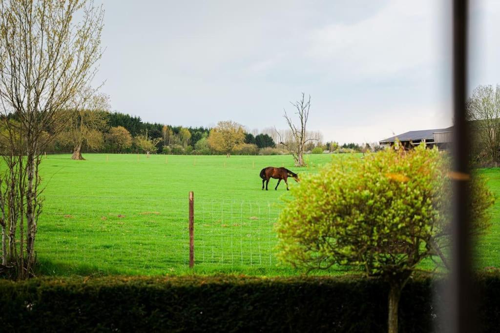 Gite La Dame Au Lit Gite A La Ferme Momignies Exterior photo