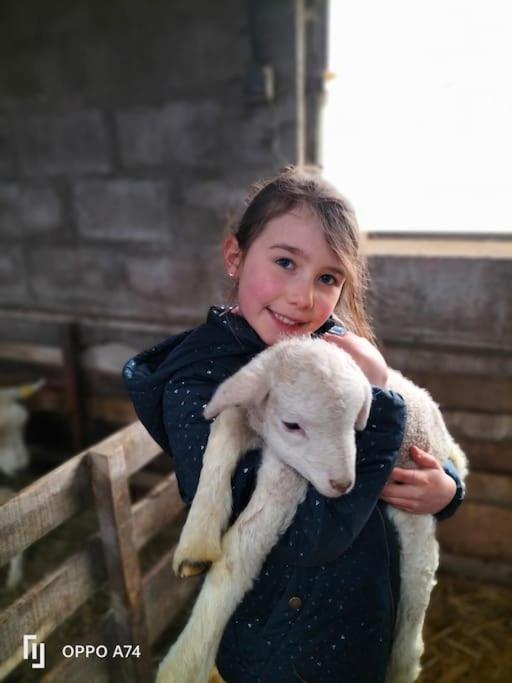 Gite La Dame Au Lit Gite A La Ferme Momignies Exterior photo