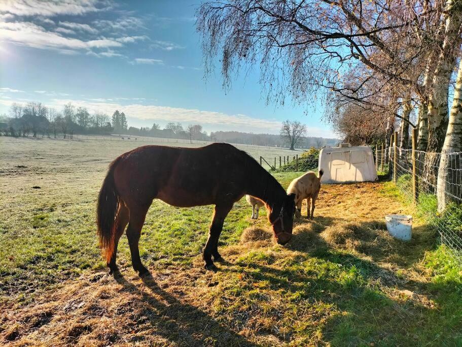 Gite La Dame Au Lit Gite A La Ferme Momignies Exterior photo